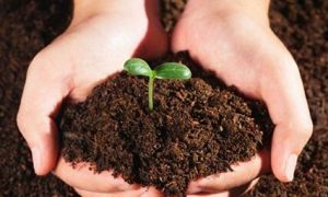 中華人民共和國土地管理法